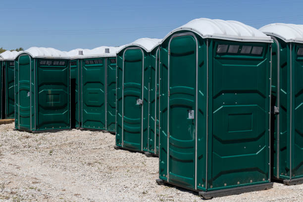 Hygienic Modern Portable Toilet Rentals